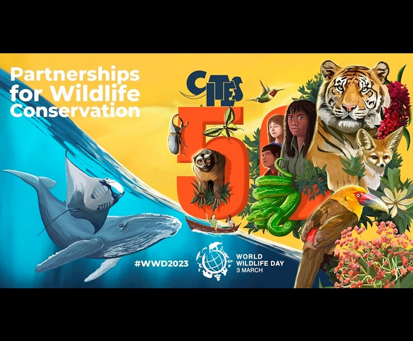 WCS Celebrates World Wildlife Day and 50 Years of CITES